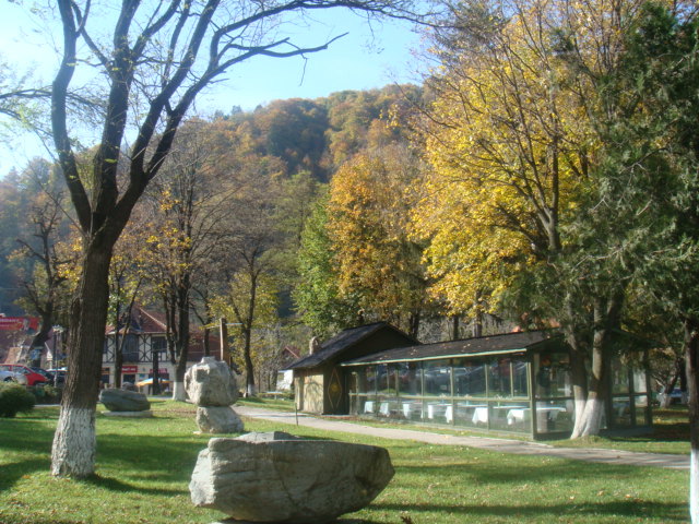 DSC01461 - excursie rasnov 23-25102009