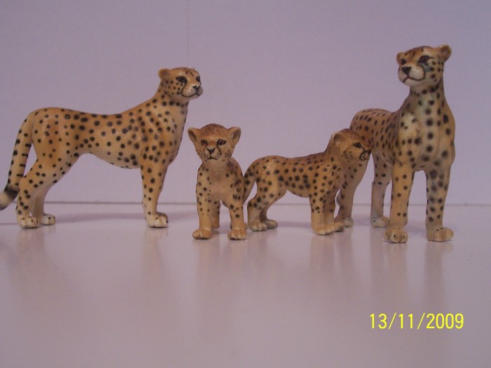 Schleich - Safari