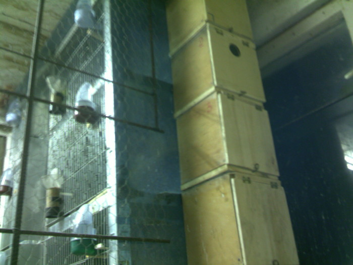 atasament cuiburi; le-am atasat pe exterior ,pe partea asta
