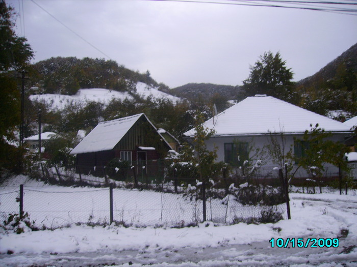 IMG_8963 - 2009 iarna timpurie