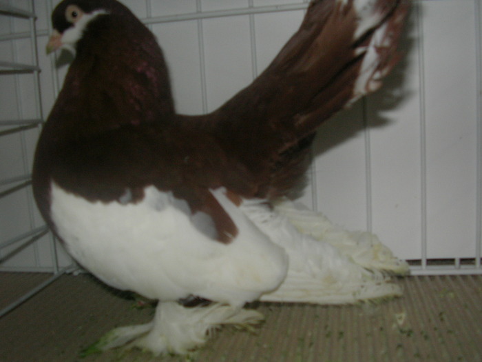 SANY0130