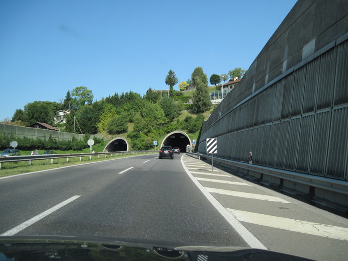 IMG_1813 - De la lacul Leman spre tunelul MONT BLANC