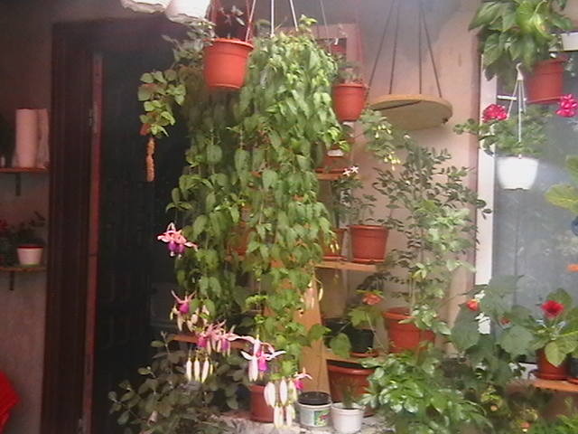Picture 054