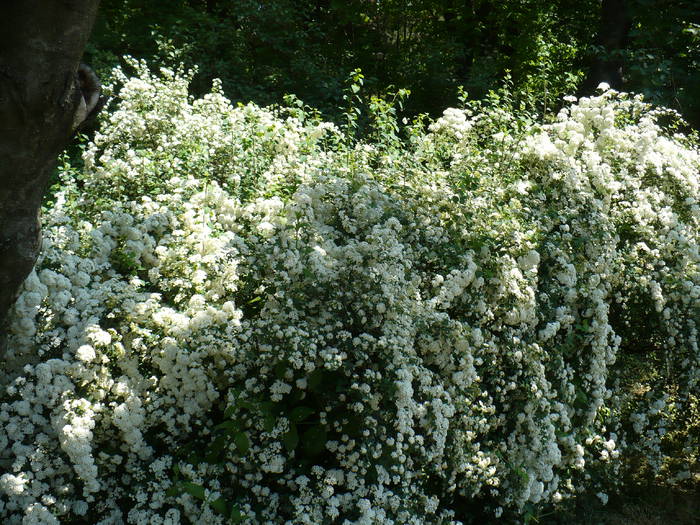 P1120006