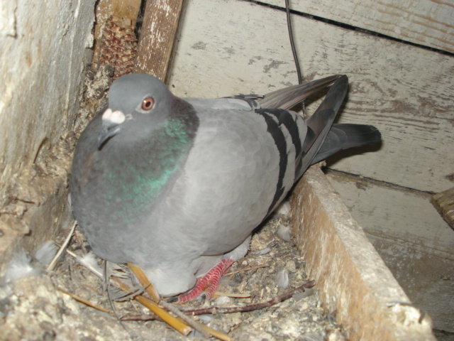 DSC02467