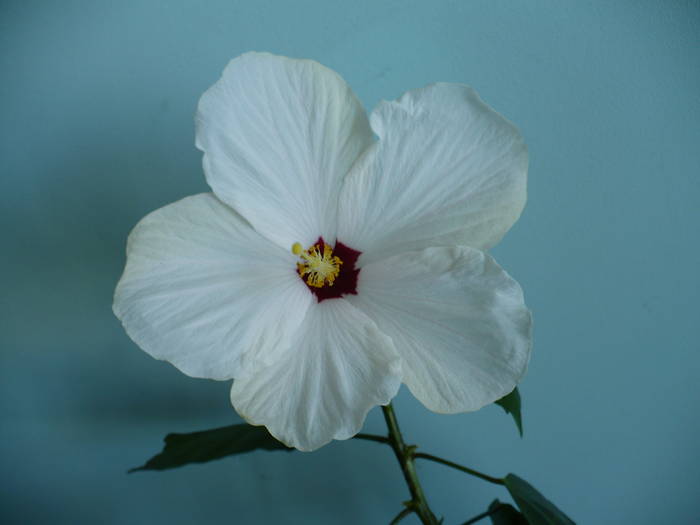 P1110777