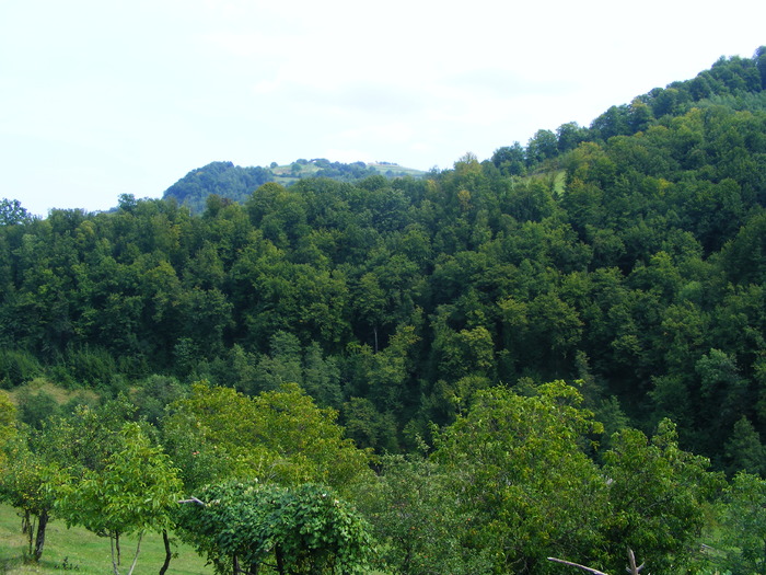 DSCF5405