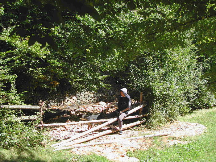 Picture 233 - Firiza