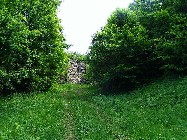DSCF0597