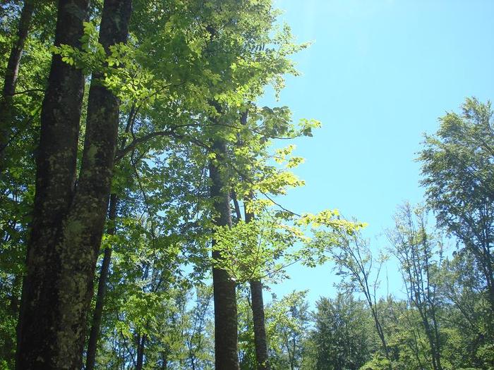 Valea Doftanei - Secaria (41)