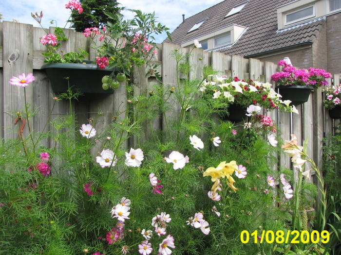 gr.sp. 1 aug 2009 (4)