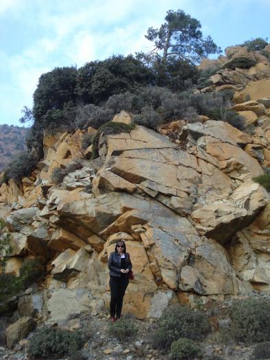 Picture 656 - 2009 REVELION CIPRU