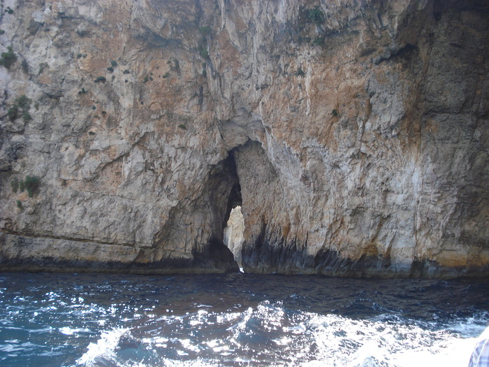 DSC04578
