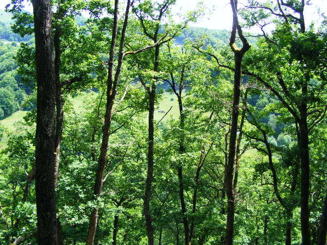 DSCF0576
