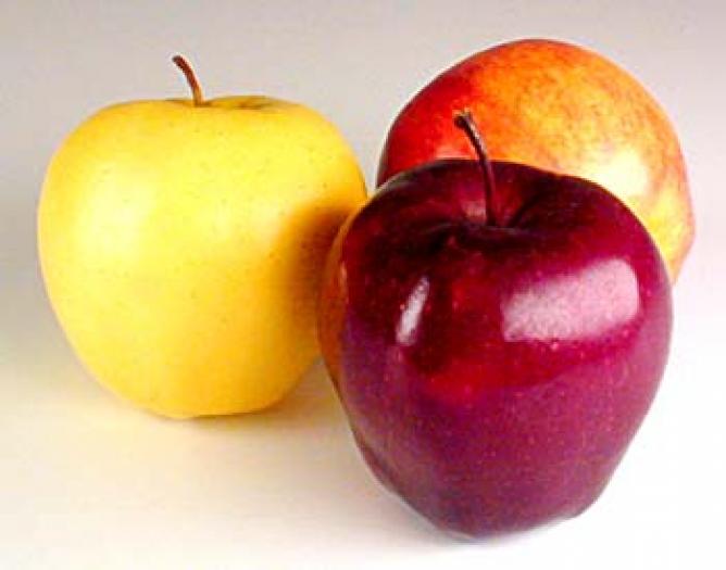 diet-apples - FRUCTELE MELE PREFERATE