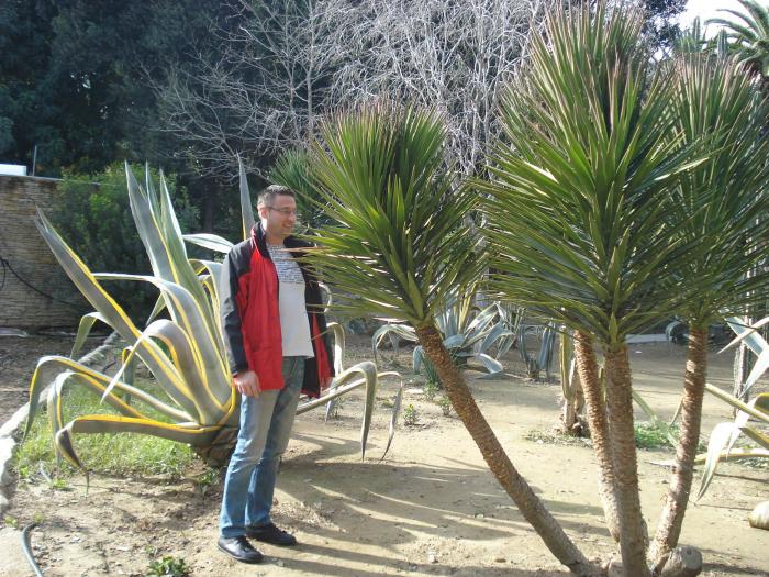 Picture 371 - 2009 REVELION CIPRU