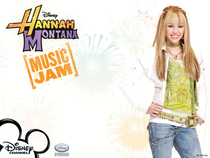 12 - Hannah Montana pentru TheCyrusHotel