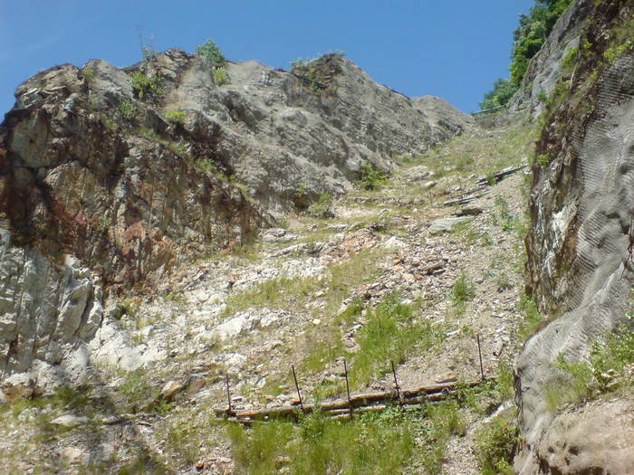 DSC01651