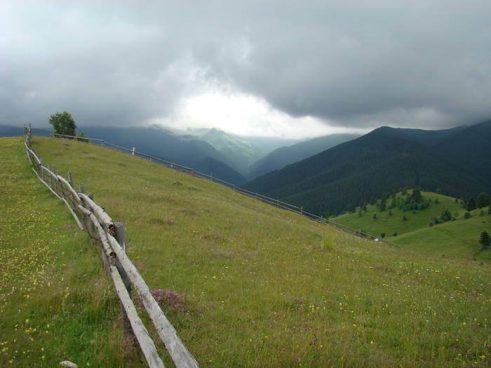 DSC03919 - Concediu 2009