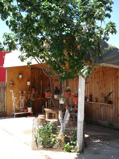 DSC09218