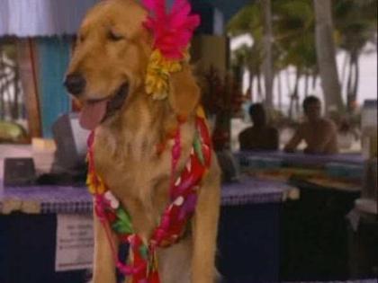 Wizards_of_Waverly_Place_The_Movie_1252726865_3_2009 - Wizards of Waverly Place