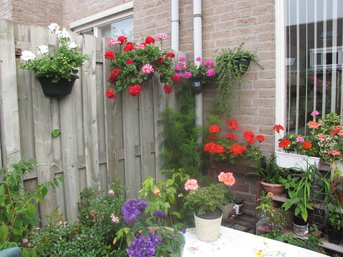 gr. sp. 19 sept 2009