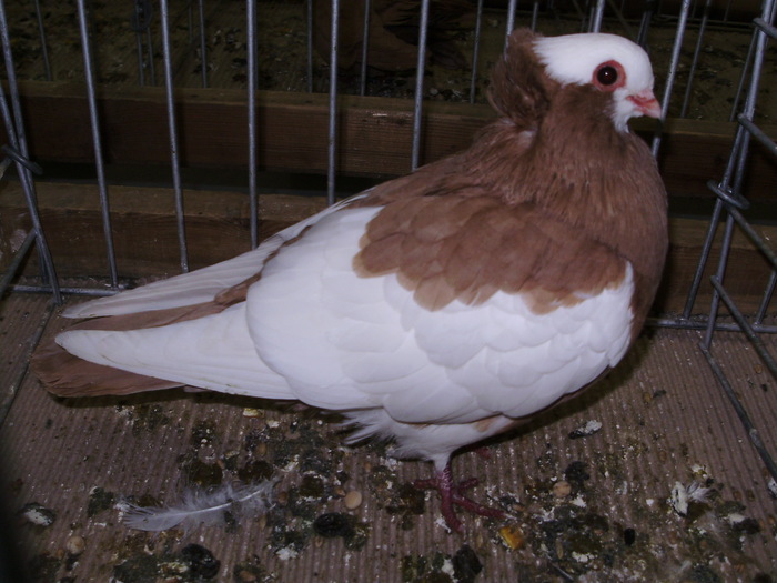12011 s 1