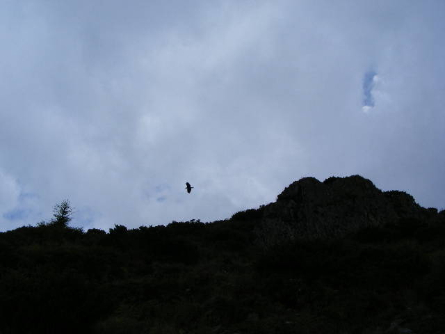 DSCF3045