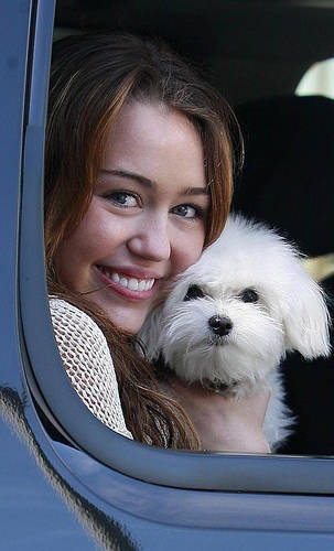 3325596308_802a57a264 - Miley Cyrus and Dog