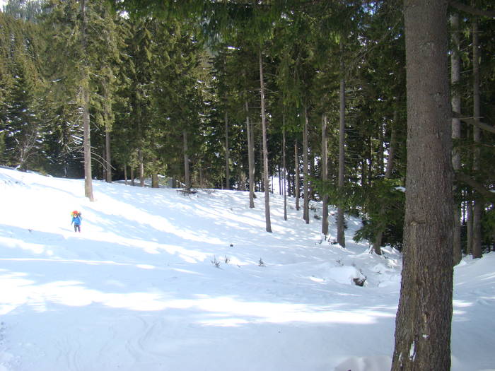 DSC02854