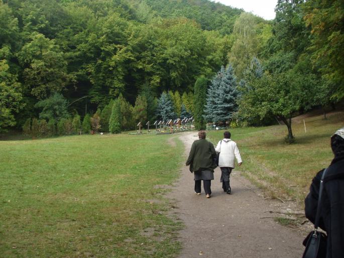 cararea catre cimitir - Manastirea Prislop