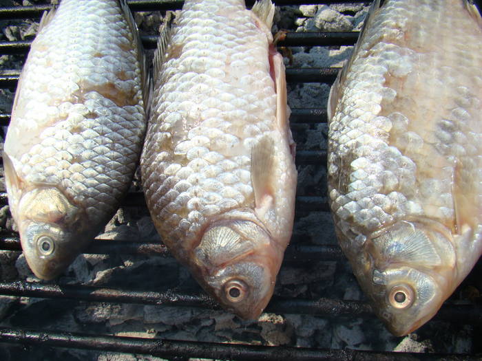 DSC06609 - 2009-04-10 capulapejte