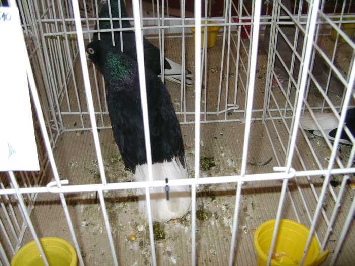 Picture 080