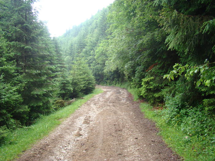 DSC03878 - Concediu 2009