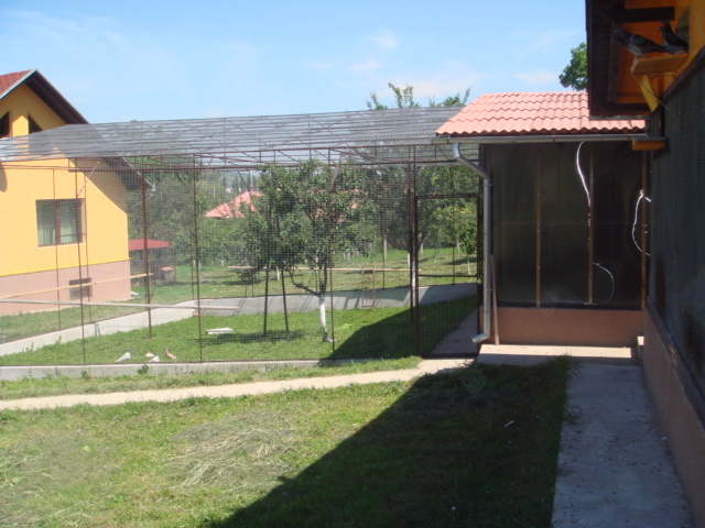 DSC00890