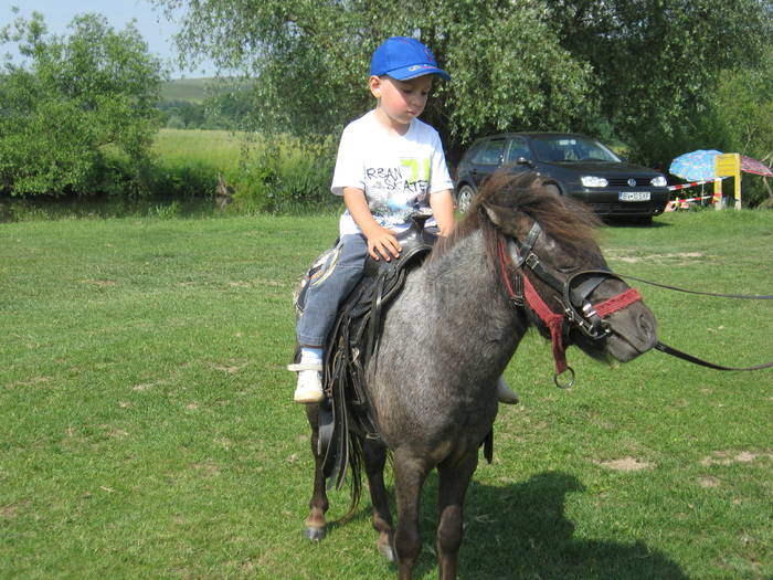 IMG_2783 - ECHITATIE 2008-2009