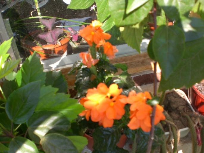 aug 2008 051