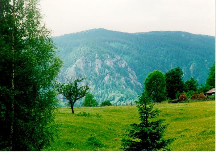 LBUTEI1 - Wonderful pictures from the world