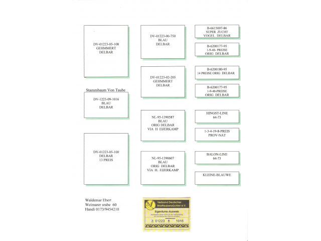 F.Delbar - Pedigree