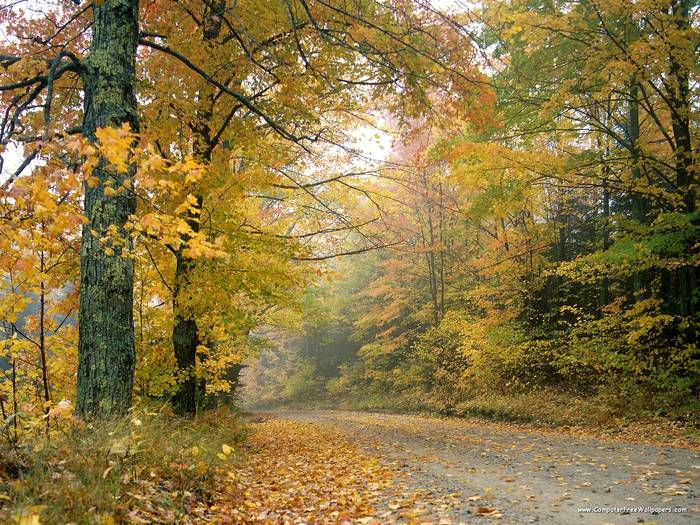 Crisp Autumn Afternoon, Vermont - Very Beautiful Nature Scenes