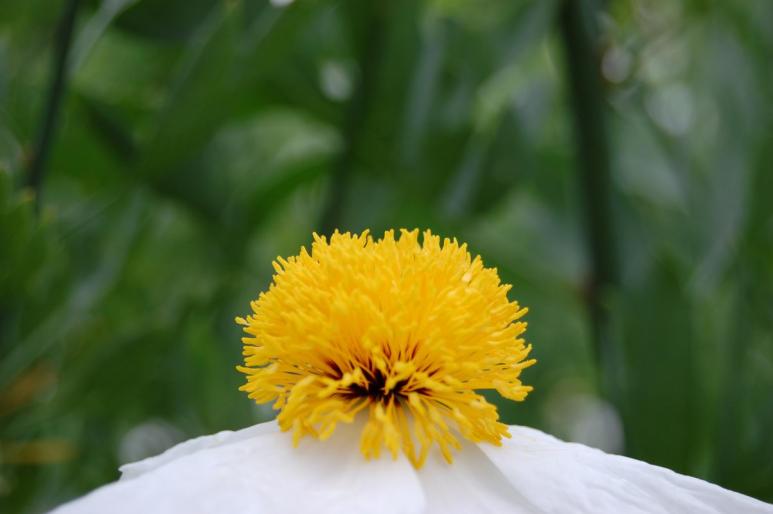 Resize of DSC_0331