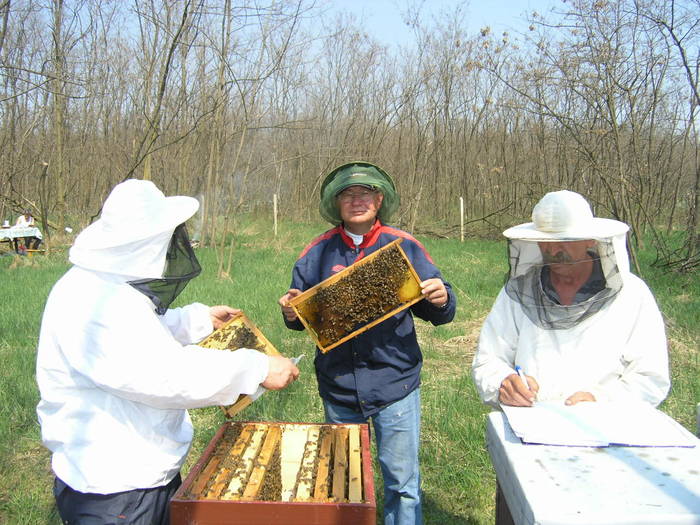 P4071966 - Carnica Banatica