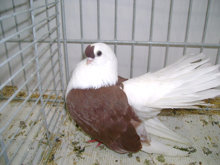 leipzig dec 2009 056