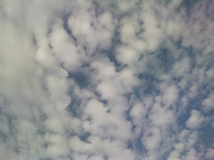 DSC00668