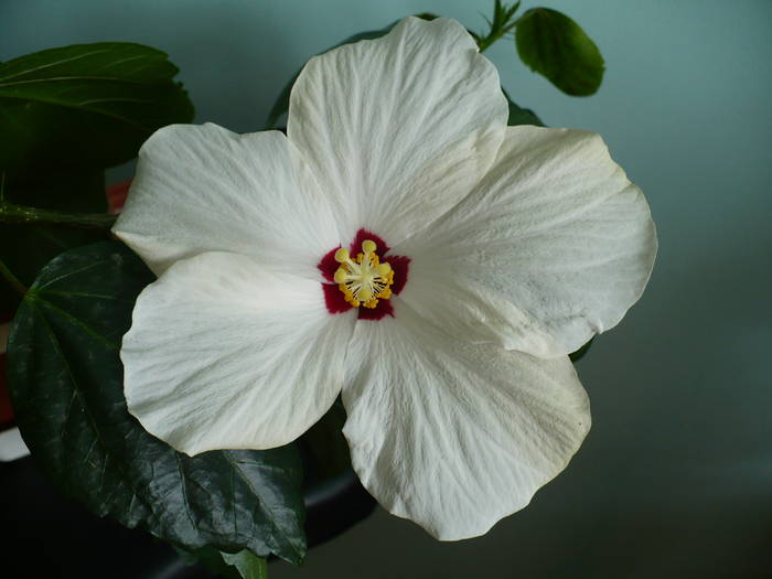 P1110497