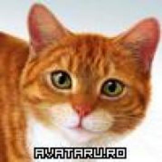 CUJMMSCUXWNXCVHKMME - avatare