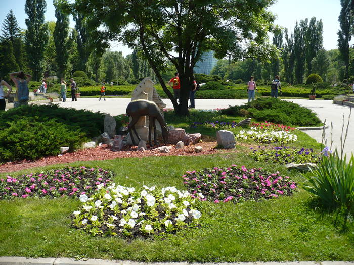 P1120087 - Herastrau 2009 mai 10