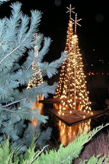 27_poze_craciun - Craciun