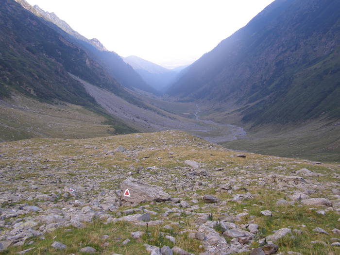 P8262464 - Ab17 - FAGARAS 2008 AUG VIRFUL MOLDOVEANU