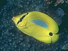 075 - poze muuuuuuuuuuuuuulte